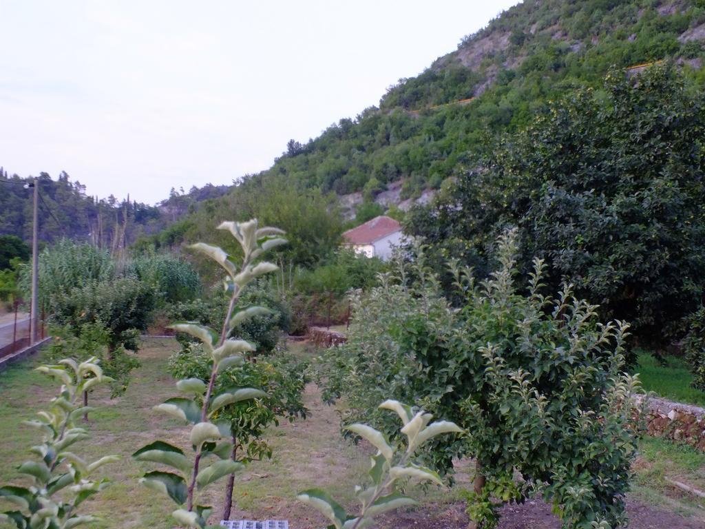 Holiday Home Ivana Virpazar Rum bild
